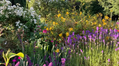 MONDAY - A colourful flower bed in Aldworth. In the foreground there are small purple flowers dappled in sunlight, behind there is a sweep of yellow and white flowers and in the background are the leaves of green trees.