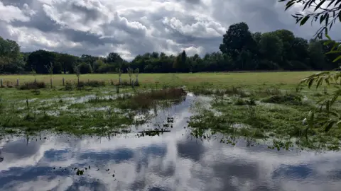 A flooded field with half of the picture showing water and the other half the grassy field. The sky is filled with dark grey clouds. A tree line can be seen in the distance.