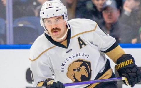 Zach O’Brien in action for Newfoundland Growlers  