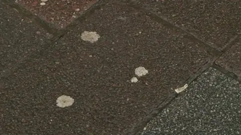 Pieces of gum stuck to a pavement