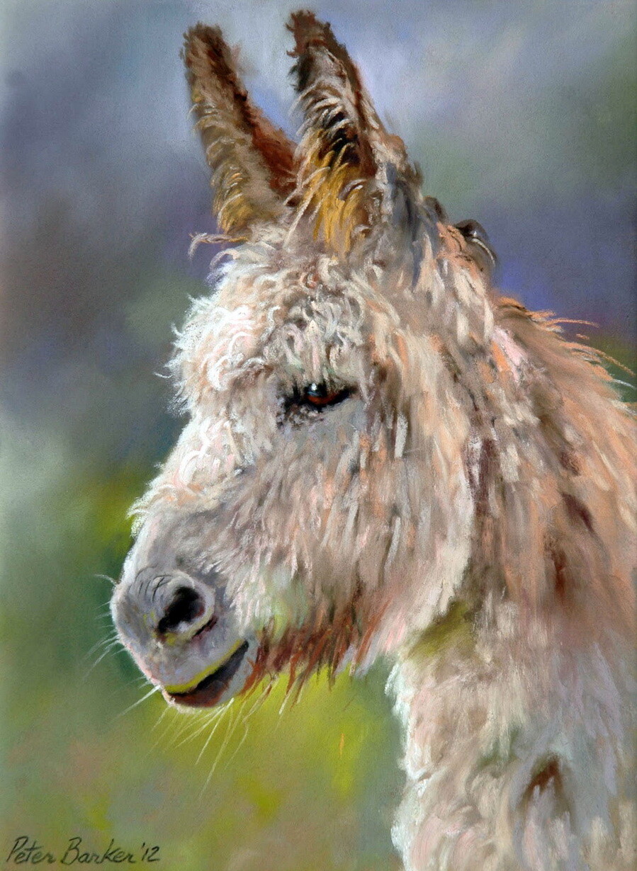 Donkey_portrait_yapfiles.ru.jpg
