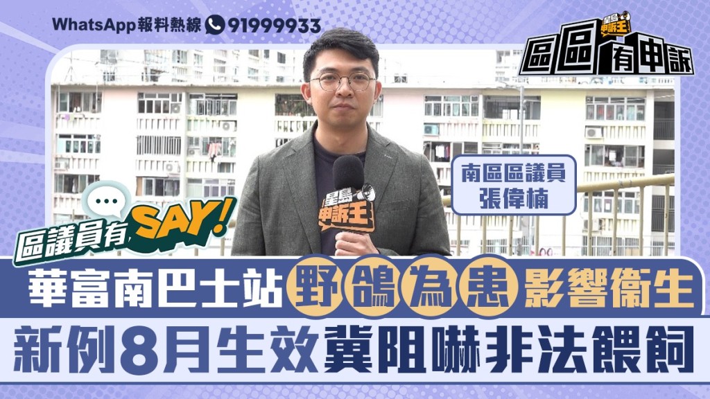 區議員有Say｜南區張偉楠：野鴿為患影響衞生 新例8月生效冀阻嚇非法餵飼