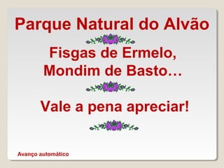 Fisgas de Ermelo,
Mondim de Basto…
Vale a pena apreciar!
Parque Natural do Alvão
Avanço automático
 