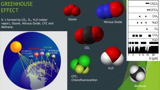 GREENHOUSE
EFFECT
CFC:
Chlorofluorocarbon
It´s formed by C0₂, 0₃, H₂0 (wáter
vapor), Ozone, Nitrous Oxide, CFC and
Methane.
Ozone
CO₂
Methane
H₂O
Nitrous Oxide
 