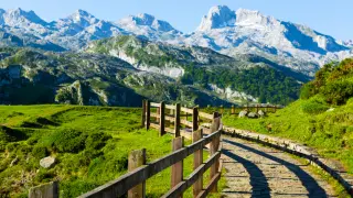 Picos de Europa (Asturias, León y Cantabria) Los Picos de Europa presentan la mayor formación caliza de la Europa Atlántica. Entre sus riscos habita el rebeco, en los tupidos bosques los corzos, lobos y presencia ocasional de algún oso. En el Parque habitan más de cien especies de aves, entre las que destacan el pito negro y el urogallo, y entre las grandes rapaces el buitre leonado y el águila real. Y además del maravilloso paisaje aquí hay siglos de historia escritos en los pueblos, valles, iglesias, en las cabañas de los puertos y en sus caminos.