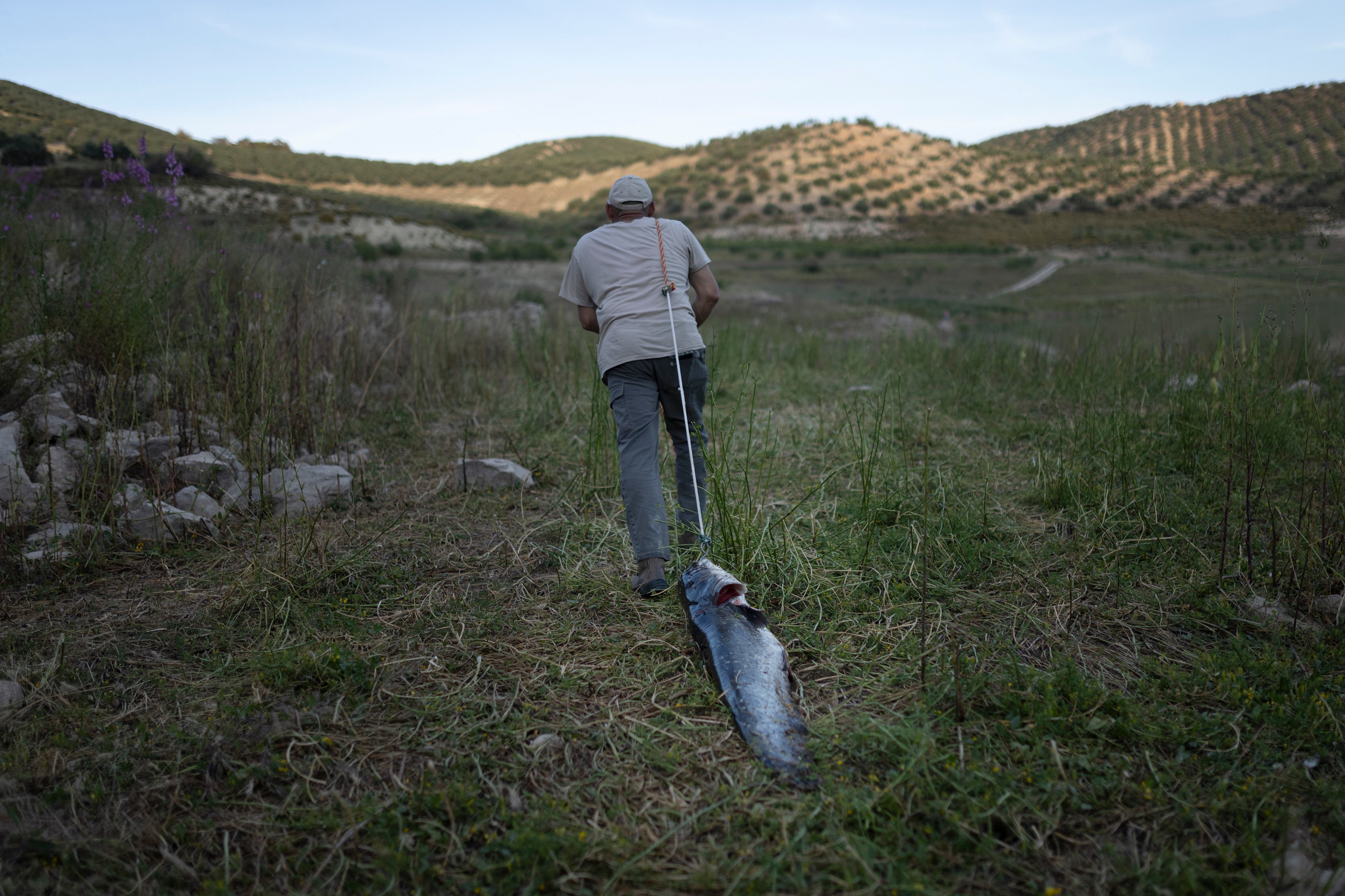 One of the fishermen of the Amapila Association removes a catfish caught in Iznájar, for later disposal. Being an invasive species, it cannot be released again.