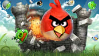 Angry Birds