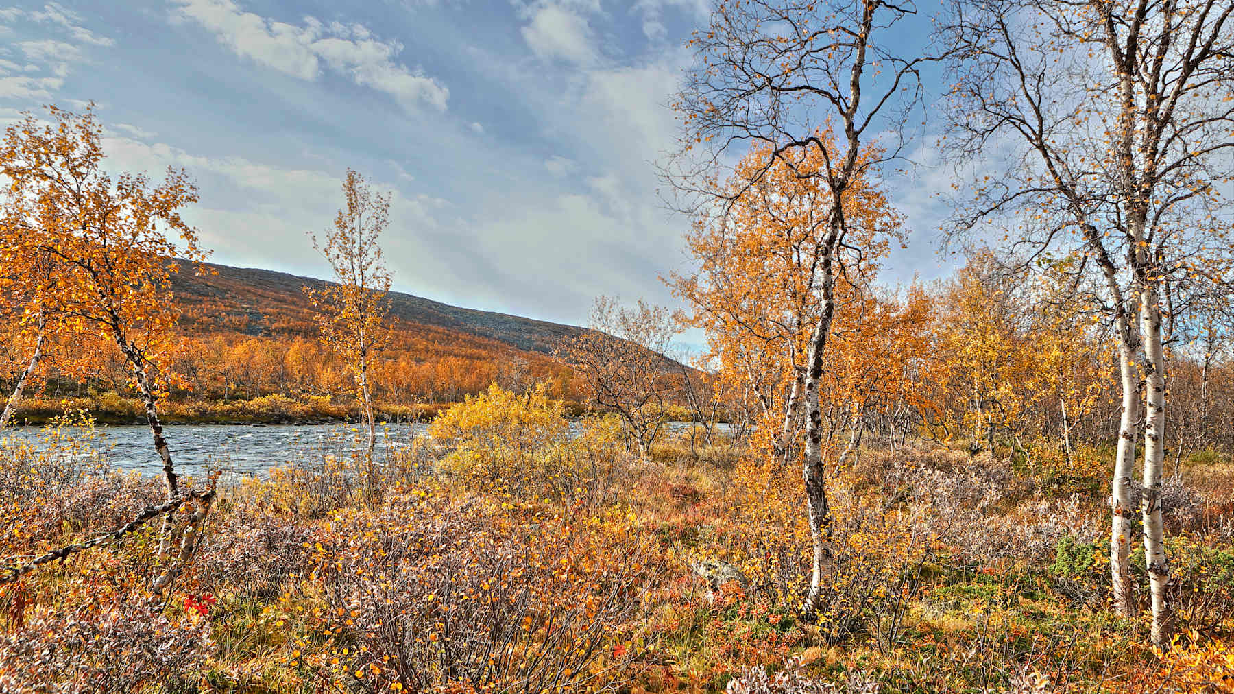 Höstfärger i Kilpisjärvi.