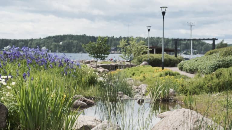 Puistonäkymä kukkineen, pensaineen, kävelypolkuineen ja merinäköaloineen.