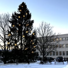 Lähikuvassa on veistos, jossa kaksi hevosta on noussut takajaloilleen. Veistoksen takana on harmaa suuri betonirakennus.