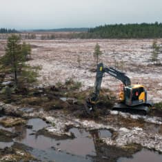 Kaivinkone ennallistaa suota eli purkaa vanhaa metsätietä ja tukkii suo-ojia Martimoaavalla Simossa.