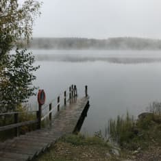 Usvaa Aulangonjärven yllä lokakuussa 2019