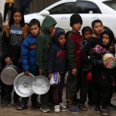 Palestinska pojkar i Gaza köar efter livsmedelsbistånd med kastruller eller byttor i händerna. De ser trötta och ledsna ut.