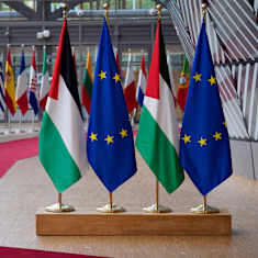 Photo shows the Palestinian flag alongside the European Union flag at the Council of Europe.
