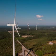 Vindmöllor i ett skogslandskap i Alajärvi.