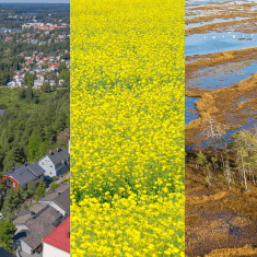 Neliosaisessa kuvassa ensin kaupunkimaisemaa, sitten peltoa, suota ja järveä.