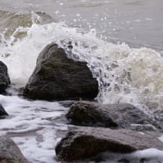 Vågor vid stranden.