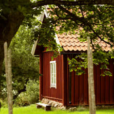 Bakom en gärdesgård skymtar ett rött gammalt stockhus.