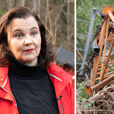 Bildmontage. Rysslandskännaren Hanna Smith och en fälld mobilmast i Janakkala.