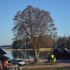 EN skärgårdshamn med strandbodar i rött. Morgon i april. Soligt