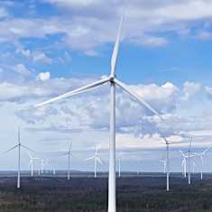 Wind turbines in a forest area.