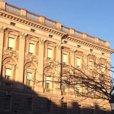 Utomhusbild på en flygel av riksdagshuset, Stockholm. Blå himmel, sol, träd i förgrunden utan blad.