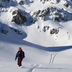 Vapaalskija puuterivuorilla, tulee alaspäin