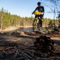 En kotte på marken, och i bakgrunden en terrängcyklist.