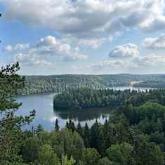 Vy över vatten i en skog.