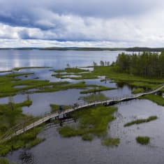 Maastopyöräilijöitä Hirsiniemen retkeilyreitillä.