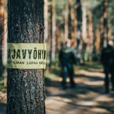 A yellow ribbon is attached to a tree, which reads "no trespassing without permission". In the background, two people are walking along a forest path.