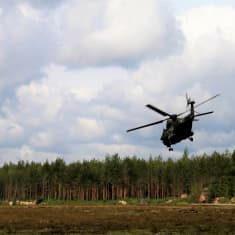 Puolustusvoimien NH-90 kuljetushelikopteri lentää matalalla Utin lentokentän yläpuolella Kouvolassa.