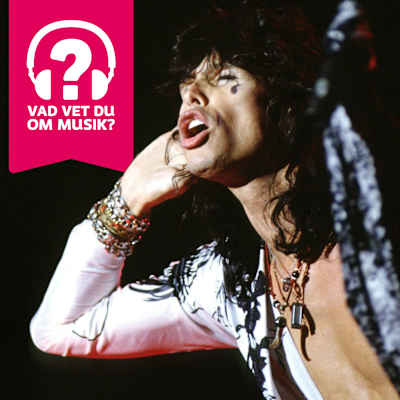 Aerosmiths sångare Steven Tyler.