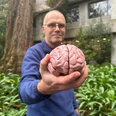 Porträtt på hjärnforskaren Richard Watts som håller upp en plasthjärna framför sig.