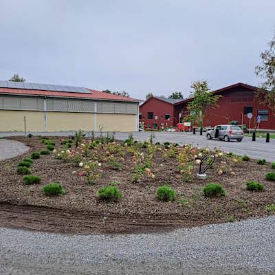 En rondell med blommor och en cirkulationsplats runt, i bakgrunden syns två hus och en bil.