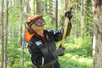 En man med skyddshjälm på huvudet står och skalar av bark av ett träd.