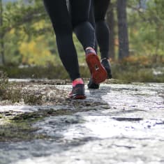 Polkujuoksijat juoksevat metsässä.