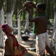 Pappi kaata kannusta riisiolutta tanssijan suuhun Baikho-rituaalissa Kamrupissa Intiassa.