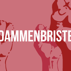 dammenbrister logo