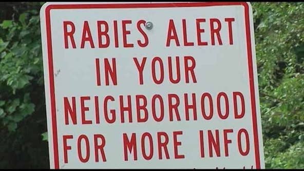Rabid fox bites person in Lilburn neighborhood