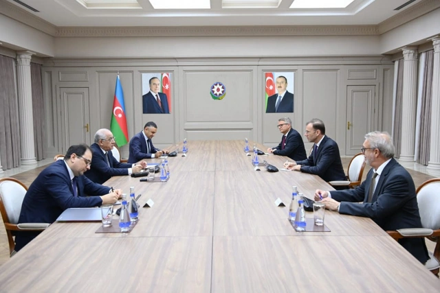 Премьер-министр Али Асадов встретился с делегацией группы компаний Knauf Германии