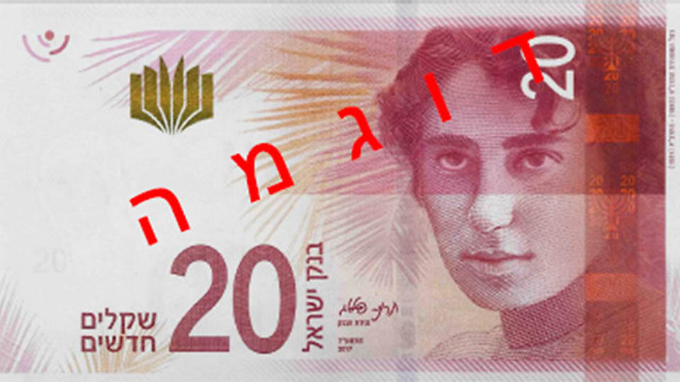 20- . : Ynet