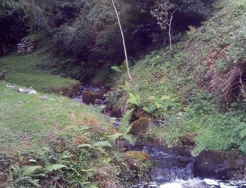 Fairy Houses Ireland. Fairy Ireland: Stalking Fairies in Tuatha de Danaan Land.