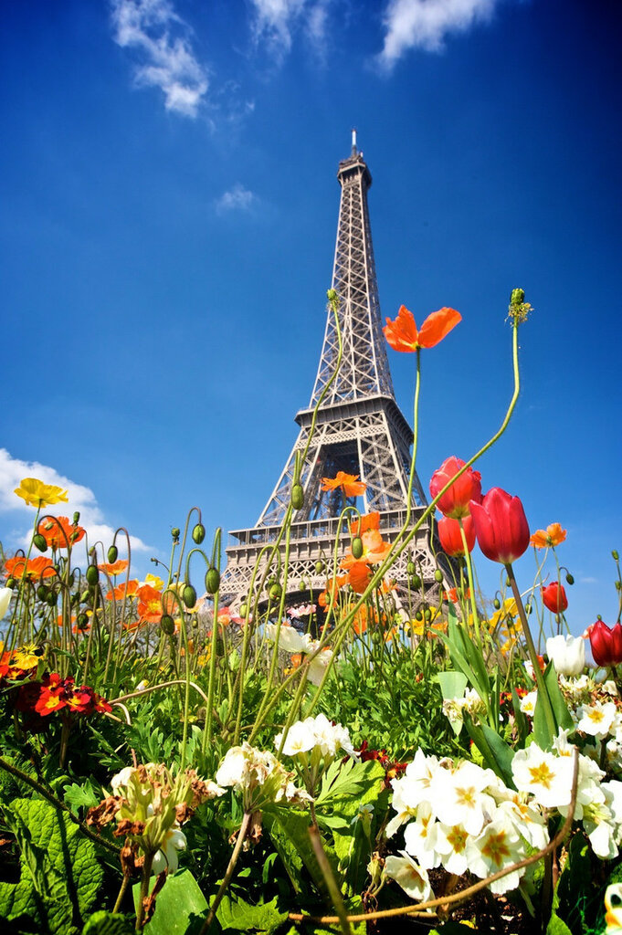 Flower_Eiffel_Tower.jpg