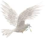 116463058_large_Dove__42_.png