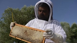 Imatge de:Els apicultors de l'Alt Empordà preveuen una bona producció de mel després de les pluges de primavera