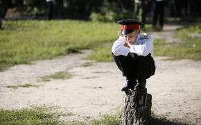 О мобилизации и не только: взгляд чайника