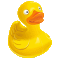 Cyberduck