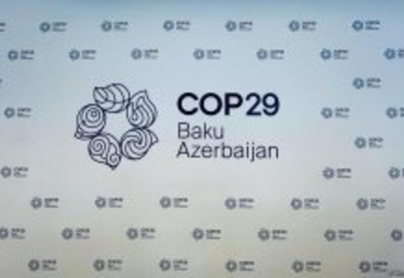 В Азербайджане в рамках COP29 состоится Парламентское заседание