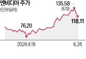 조정받는 엔비디아…"거품 해소" vs "바닥 다지기"